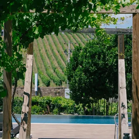 Quinta Vale De Sousa - Douro Valley