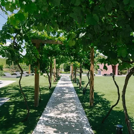 Vakantieboerderij Quinta Vale De Sousa - Douro Valley