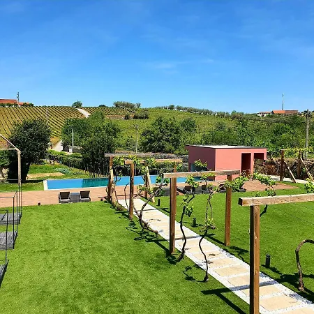 Quinta Vale De Sousa - Douro Valley