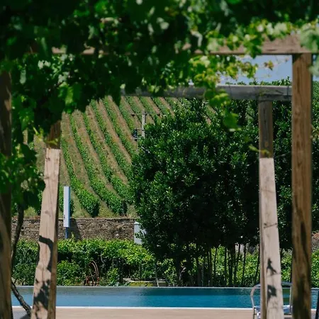Фермерский дом Quinta Vale De Sousa - Douro Valley Пезу-да-Регуа
