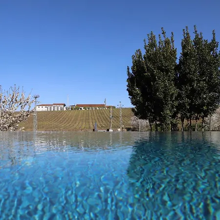 Фермерский дом Quinta Vale De Sousa - Douro Valley