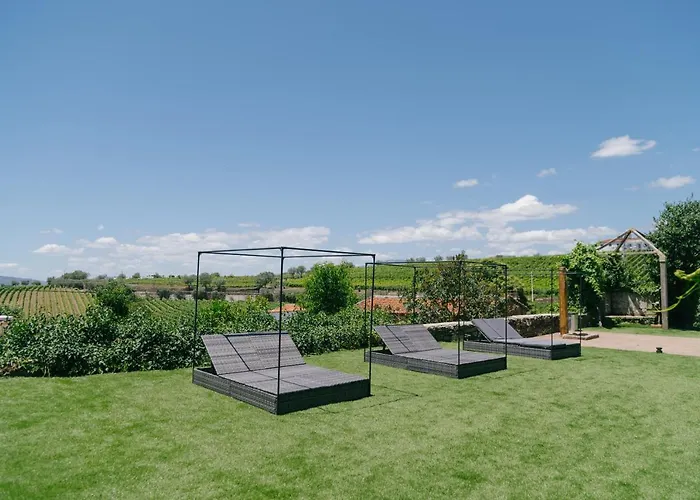 مزرعة للإقامة Quinta Vale De Sousa - Douro Valley *