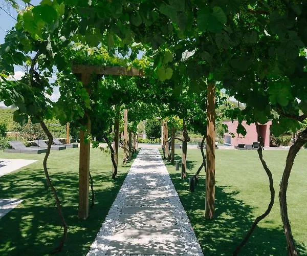 Farma Quinta Vale De Sousa - Douro Valley