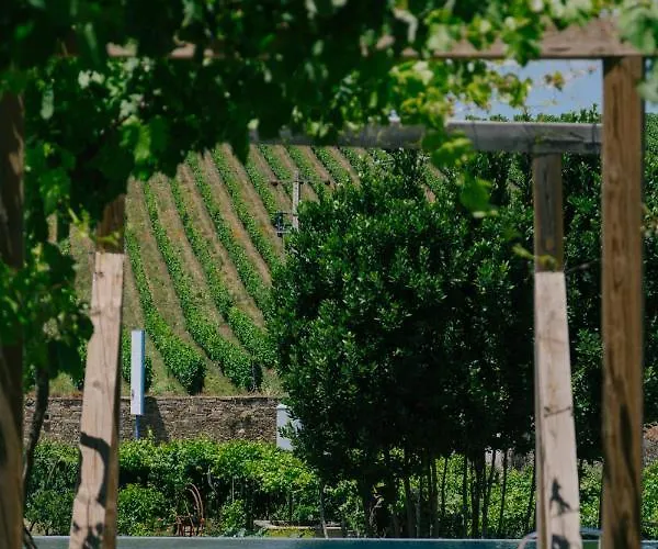 مزرعة للإقامة Quinta Vale De Sousa - Douro Valley Peso da Régua