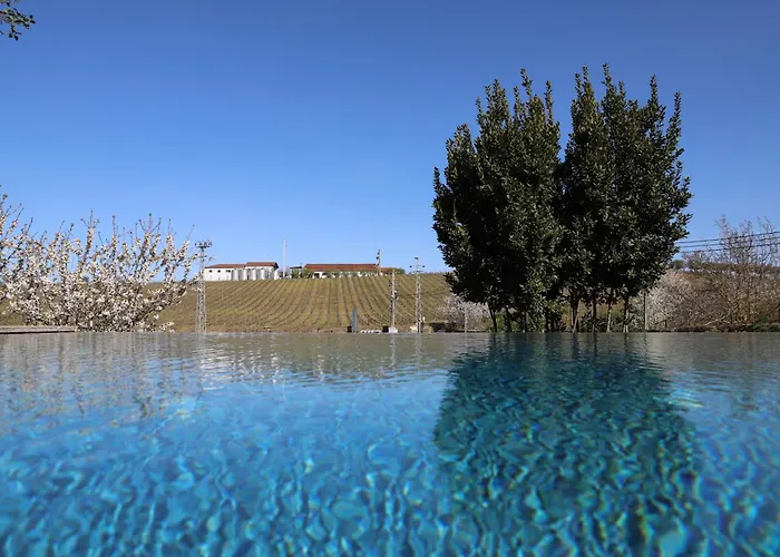 Gospodarstwo agroturystyczne Quinta Vale De Sousa - Douro Valley